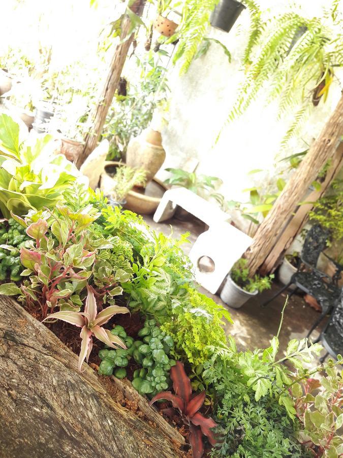 Muang Khon Guest House 洛坤府 外观 照片